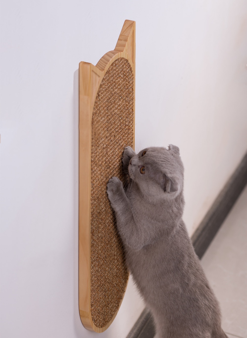 Cat's Wall Mounted Scratcher