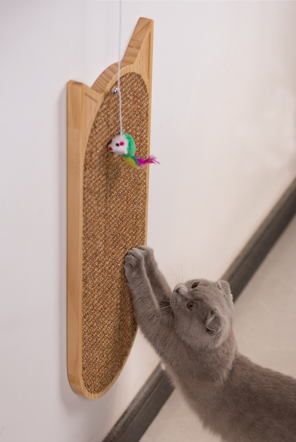 Cat's Wall Mounted Scratcher