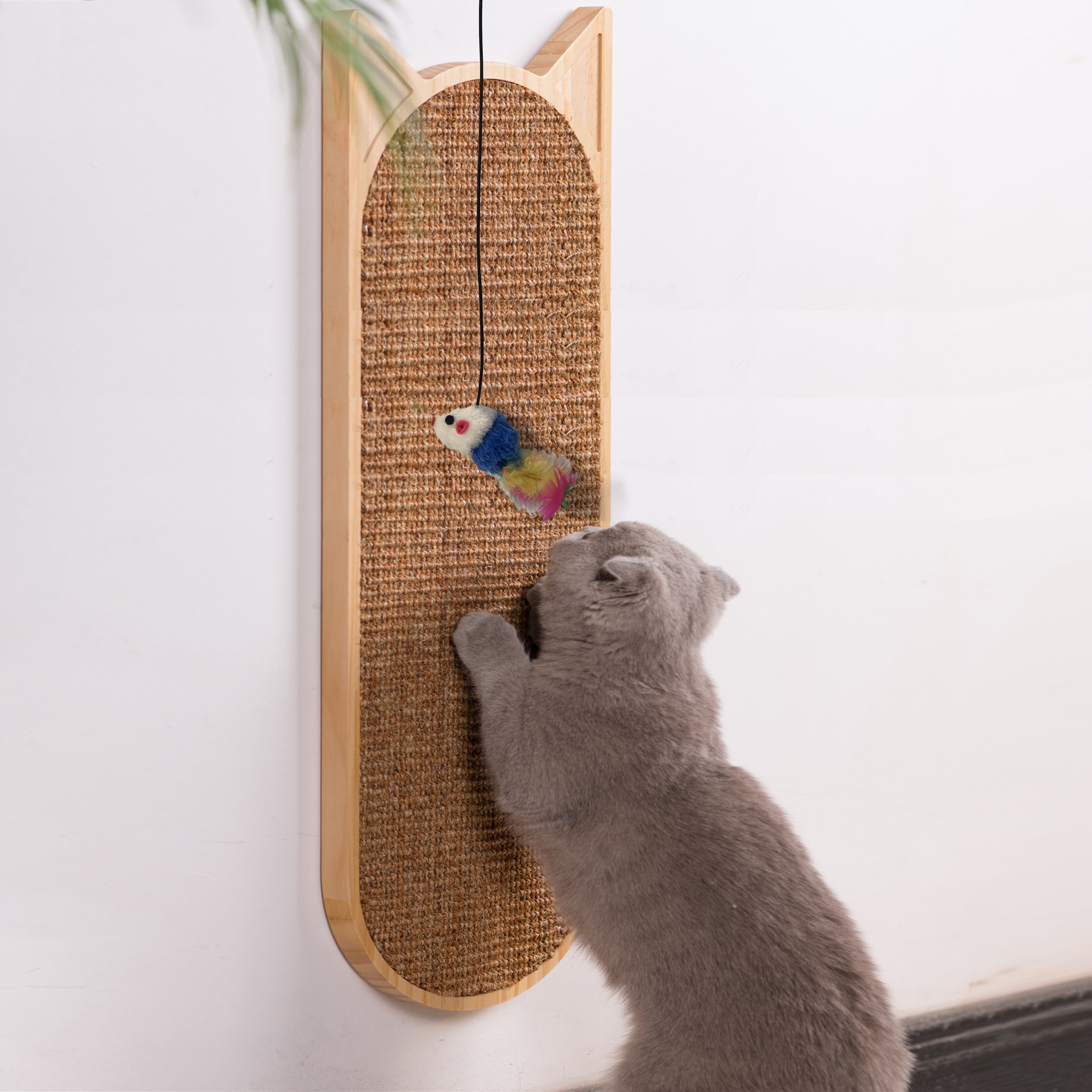 Cat's Wall Mounted Scratcher