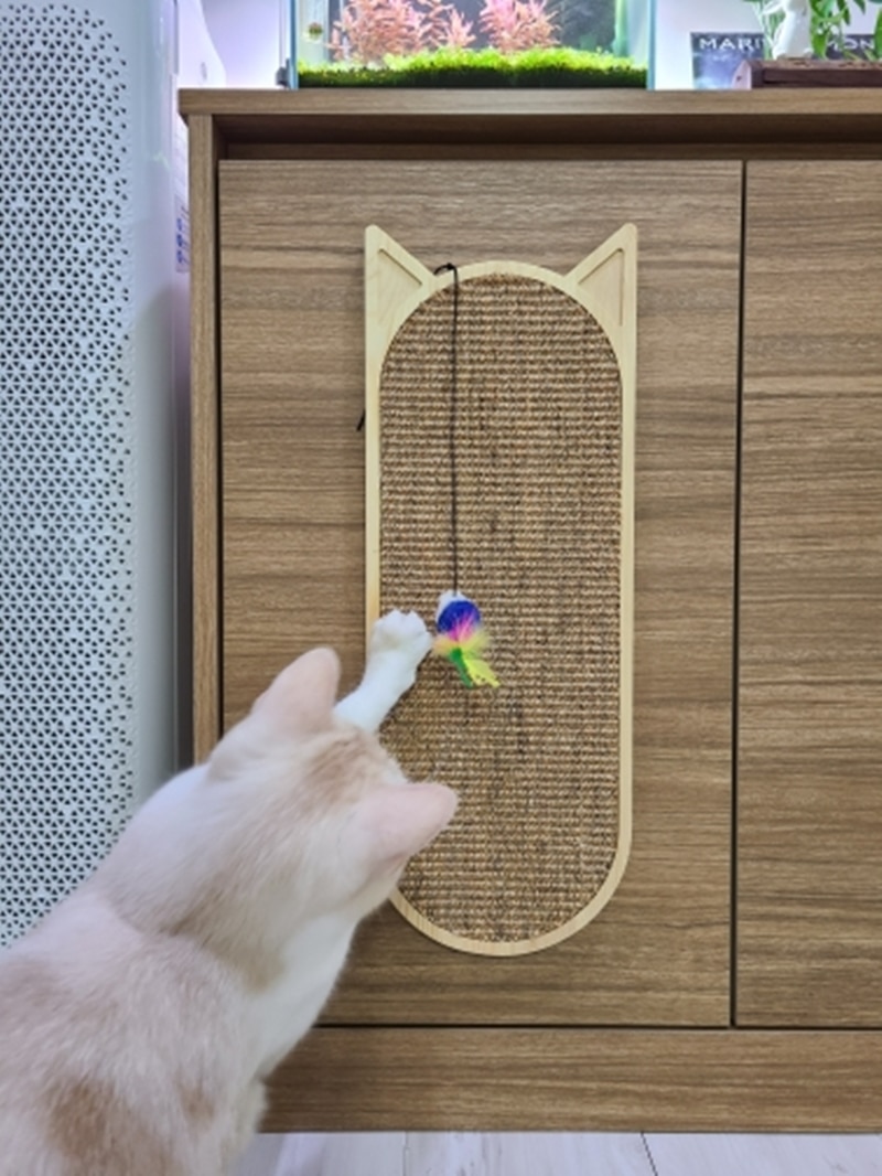 Cat's Wall Mounted Scratcher