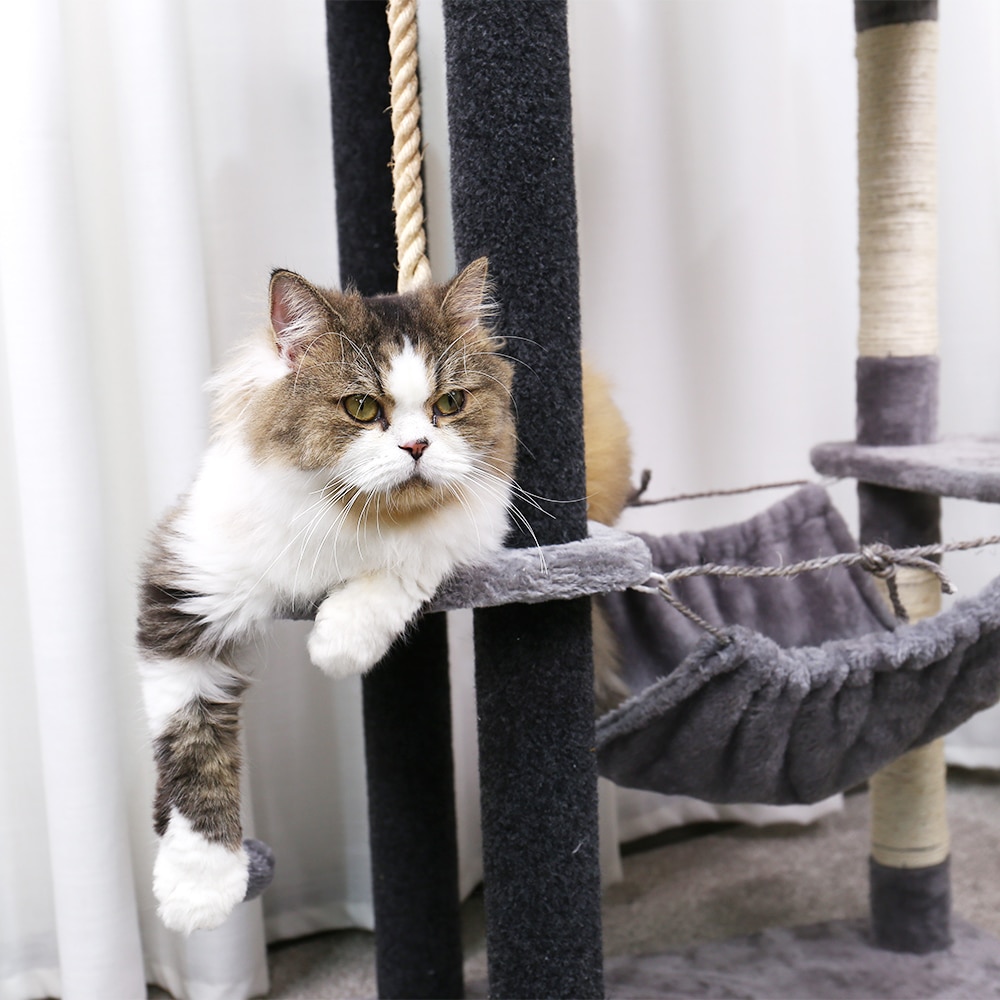 Pet Climbing Frame with Hanging Ball