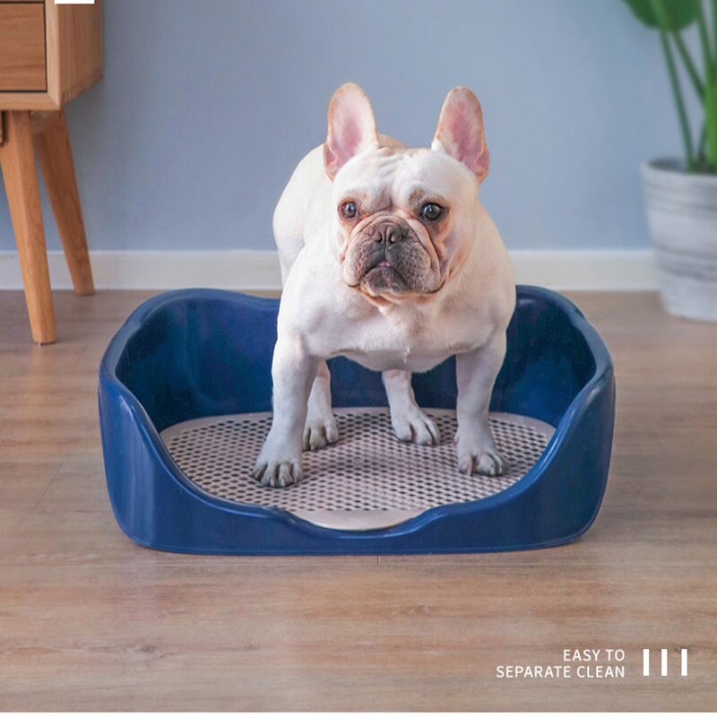 Portable Training Litter Box