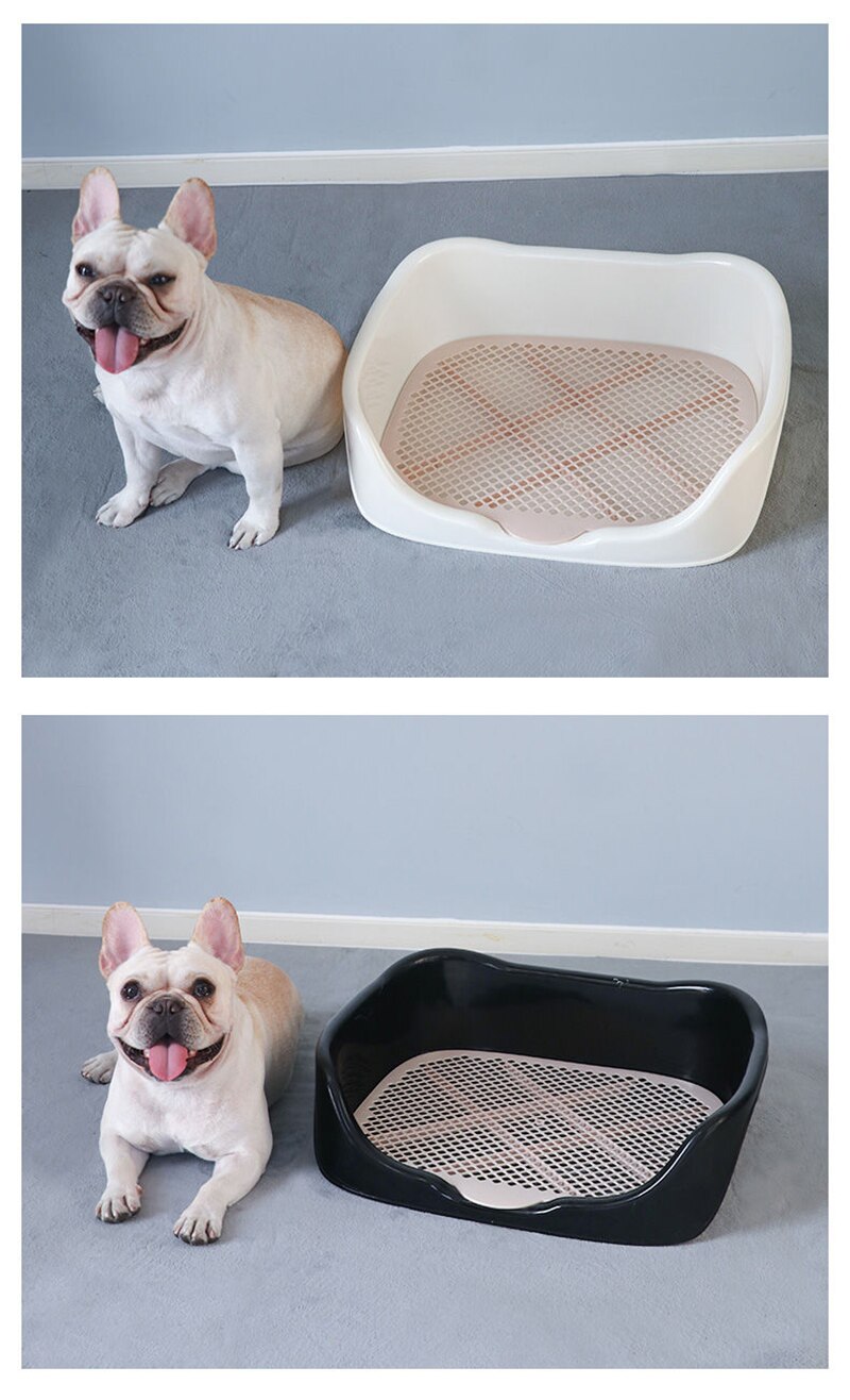 Portable Training Litter Box